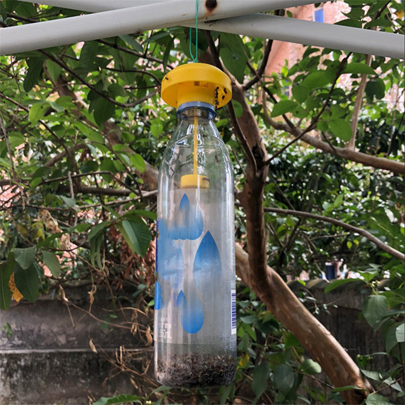 1/3Pcs Fruit Fly Trap Killer T - Bug Catching Kit recension och pris