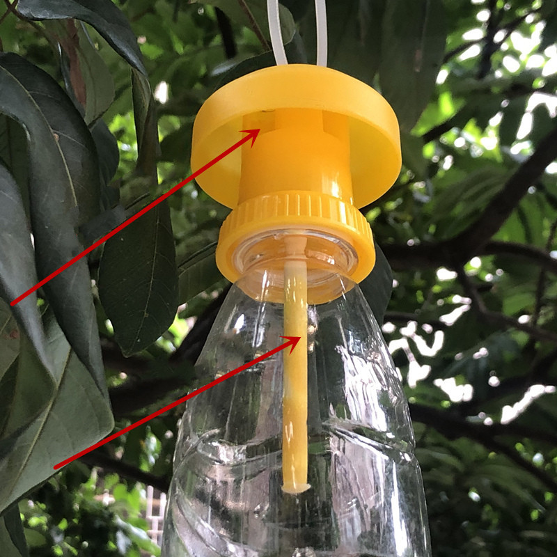 1/3Pcs Fruit Fly Trap Killer T - Bug Catching Kit recension och pris
